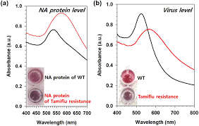 Rapid And Simple Detection Of Tamiflu Resistant Influenza Virus Development Of Oseltamivir Derivative Based Lateral Flow Biosensor For Point Of Care Poc Diagnostics Scientific Reports An electron microscopic image of the 2019 novel coronavirus grown in cells at the university of hong kong. rapid and simple detection of tamiflu