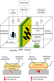 نتیجه جستجوی لغت [acclimatized] در گوگل