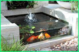 Kolam ikan koi depan rumah. Inspirasi Kolam Ikan Hias Sederhana Dengan Tanaman Air Dunia Fauna Hewan Binatang Tumbuhan Dunia Fauna Hewan Binatang Tumbuhan