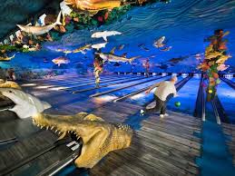 Big cedar lodge fly fishing blue ball cap table rock lake branson mo bass pro. Big Cedar Lodge Explore Branson