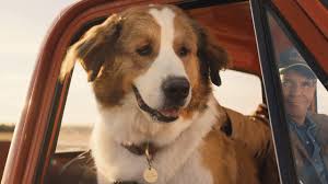 Az egy kutya négy útja a nagy sikerű egy kutya négy élete című film folytatása, amelyben bailey, a világ legkedvesebb kutyája végre megtalálja az. Egy Kutya Negy Utja Netflix