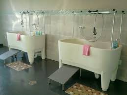 Image Detail For Dog Grooming Services In Toledo Ohio A Pups Paradise Bano Para Perros Peluqueria Perros Tienda De Mascotas