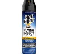 Wasp & Hornet Killer | Aerosol | Hot Shot®