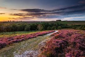 Maybe you would like to learn more about one of these? Kartinki Po Zaprosu Veresk V Skalah Sky Landscape Landscape Nature