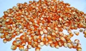 We did not find results for: Pakan Terbaik Untuk Burung Merpati Agrozine