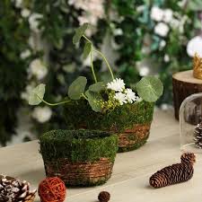 Set Of 2 Natural Cedar Twig Round Preserved Moss Planter Box In 2020 Moss Planter Moss Plant Preserved Moss
