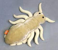 Home Collectible Wildlife Gifts Realistic Stuffed Animals Dinosaur Stuffed Animal Animals