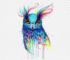Tidak ada tanda khusus, hanya tato saja. Lukisan Burung Hantu Warna Warni Lukisan Artis Gambar Burung Hantu Burung Hantu Lukisan Cat Air Hewan Png Pngegg