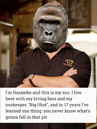 The state reduced rate hikes for most health plans in the region for 2022.… Harambe I M Rick Harrison And This Is My Pawn Shop Know Your Meme