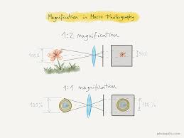 Depth Of Field The Definitive Photography Guide Photopills