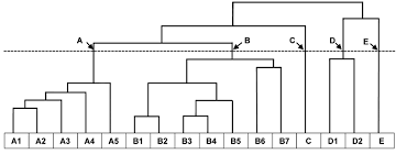 Image result for Indigofera rhytidocarpa