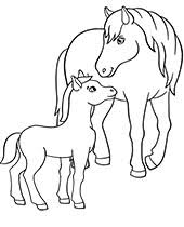 Animal coloring pages the forgotten art of coloring is making a comeback. Printable Animals Coloring Pages Topcoloringpages Net
