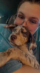 Arlene Veras's Instagram, Twitter & Facebook