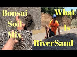 Explore tweets of nemophilist ph/ welcoming collection 2021 tingi @nemophilistph on twitter. What Is River Sand How To Make Bonsai Soil Mix Paano Gumawa Ng Bonsai Soil Mixture Golectures Online Lectures