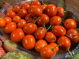 Image result for Garcinia livingstonei