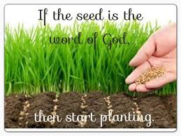 Bible Study: Does “seed” mean the word of God? - Quora