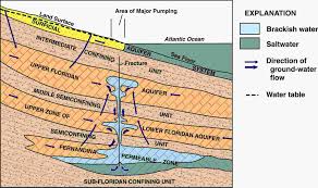 Floridan Aquifer Crossection North Florida Www Gainesvillefloridahomes Com Groundwater Water Table Informative