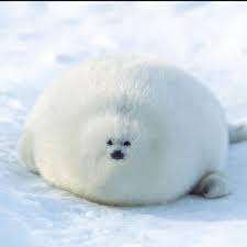 Cursed f.sparks wallpaper by mrtermi988 on deviantart these pictures of this page are about:cursed wallpapers 1920x1080. Smol Cursed Seal Smolseals