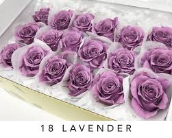 Most of our range is dried in our own drying rooms and dyed at our own location. Floral Supplies Infinity Roses Wedding Dried Flowers Long Lasting Rose Red Rose Preserved Flowers Real Roses Infinity Rose Dried Roses Floral Crafts Eternal Roses Preserved Roses Wholesale Home Decor Kolenik Artificial Flora