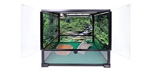 Carolina Custom Cages Terrarium Tall Medium 24lx18dx24h Easy Assembly Https Pets Boutiquecloset Com Product Carol Reptile Lights Reptile Habitat Habitats