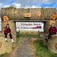 Pumpkin Picking at Ernespie Farm event image