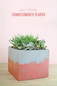 Bowl planters are perfect for adding a sense of elegance to your garden. Diy Stained Concrete Planter Persia Lou