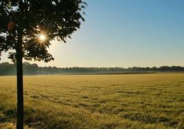 7 della legge 14 agosto 1971, n. Fac Simile Lettera Per Diritto Di Prelazione Terreni Agricoli