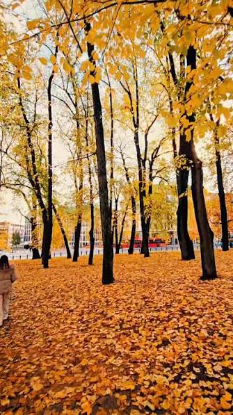 September 1st marks the first day of autumn in Norway! The air gets crisp, the colors start to change, and nature slowly prepares for winter. Do you love autumn, or are you