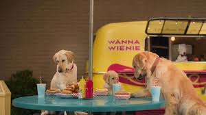 Pin On Funny Animal Commercials