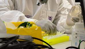 A covid‑19 vaccine is a vaccine intended to provide acquired immunity against severe acute respiratory syndrome coronavirus 2 (sars‑cov‑2), the virus causing coronavirus disease 2019. Significant Step In Covid 19 Vaccine Quest Uq News The University Of Queensland Australia