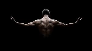 Download and share awesome cool background hd mobile phone wallpapers. Man Dark Bodybuilder Muscle Darkness Bodybuilding Muscles Arm Back Human Body Human Hand Chest 4k Fitness Backgrounds No Equipment Workout Muscle