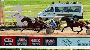 Regrouper l'ensemble des sociétés de courses de l'ouest (7 départements) ; 9 8 15 Toulouse Prix De La Federation Du Sud Ouest Results And Reports