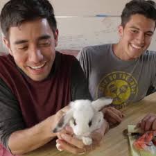 Where do bunnies come from? W/ Zach King
