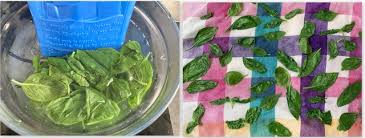 Check spelling or type a new query. Congelare Il Basilico Fresco Per Tutte Le Ricette E Sempre Verde