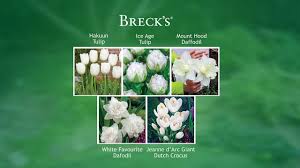 Mar 21, 2021 · librivox about. Linda S Flowers Coupon Code 08 2021