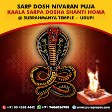 Kaalsarp Dosh Nivaran Puja | The Peace Of Rahu-Ketu Planets