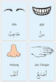 Namun bahasa asing juga cukup populer diantaranya bahasa inggris dan juga sering kita jumpai ucapan selamat ulang tahun dalam bahasa arab. Anggota Badan Dalam Bahasa Arab Nota Bahasa Arab Facebook