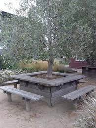 Pin By Caren Colombi On R A I S E D G A R D E N In 2020 Backyard Bench Around Trees Built In Bench