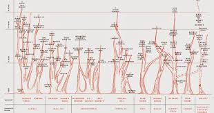 The Genealogical World Of Phylogenetic Networks The Bourbon