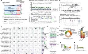 Important days & dates of the year: The Evolutionary History Of 2 658 Cancers Nature