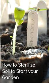 How to sterilize garden soil. How To Sterilize Soil To Start Seeds For Your Garden Garden Layout Vegetable Plants Start Seeds