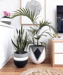 7 Consigli Per Rendere La Tua Casa Instagram Mabile Interior Design Decorazioni Vegetali Arredamento Piante Da Interni Arredare Con Le Piante Da Appartamento