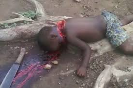 Image result for fulani herdsmen