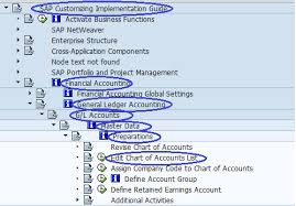 chart of accounts types sap training tutorials