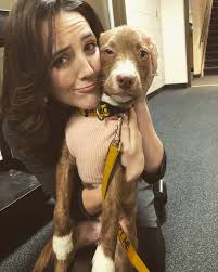 UPDATE: Amber got adopted. Kyle is a dog lover and awesome husband 😂  Denver does NOT want a furbrother or sister right now because his human  sister is enough to handle. ---