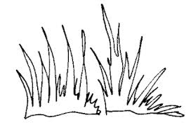 Grasbuschel Malvorlage Coloring And Malvorlagan