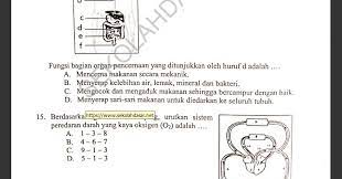 Ipa smp soal ipa smp soal ujian uas ipa 2021 ujian sekolah smp latihan soal ujian akhir untuk latihan soal ujian sekolah ipa kelas 9 smp/ mts terdiri dari 30 butir soal legkap dengan pilihlah salah satu jawaban yang tepat ! Soal Try Out Ujian Sekolah Sd Mapel Ipa Tahun 2020 Sekolahdasar Net