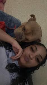 My daughters friends dog is missing. She's been missing now for about a  month. I'm hoping someone has her please message me. Anyone know where she  is her name is lily and