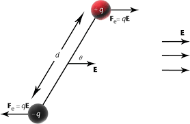 Torque T On A Dipole From An External Electric Field Electric Field External Alignment