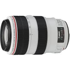Canon 70 300 F 4 5 6 L Is Usm Review Pin On Lenses Reviews